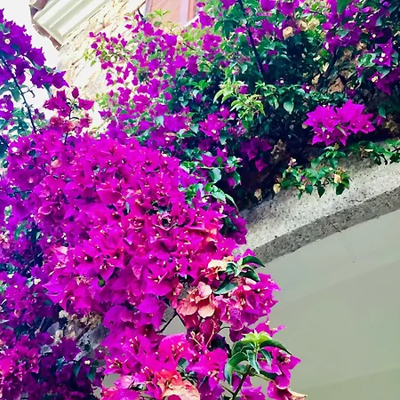 펜션 Residenza Il Lentischio Agrustos